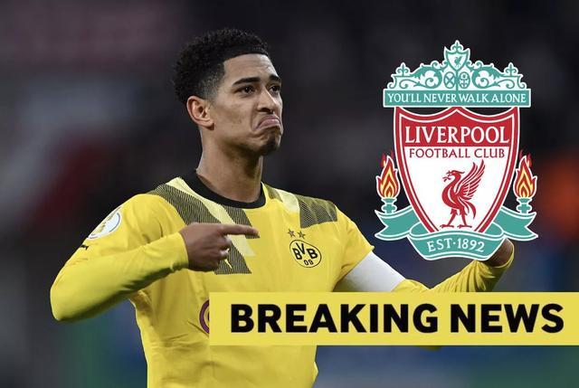 高效！约基奇16投11中砍下准三双，末节连中三分定乾坤